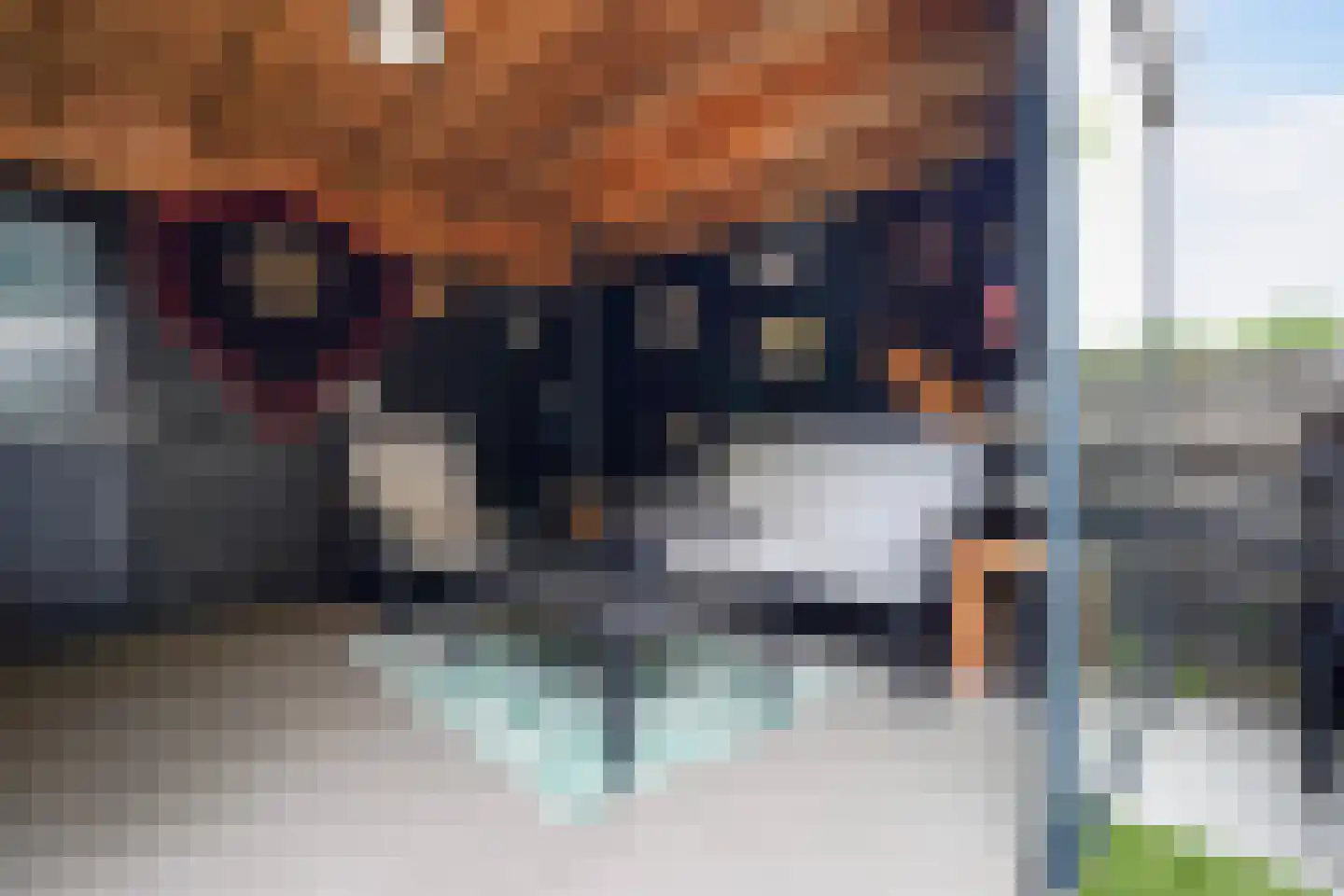 Aloëbruin 17 Zoetermeer thumbnail 25