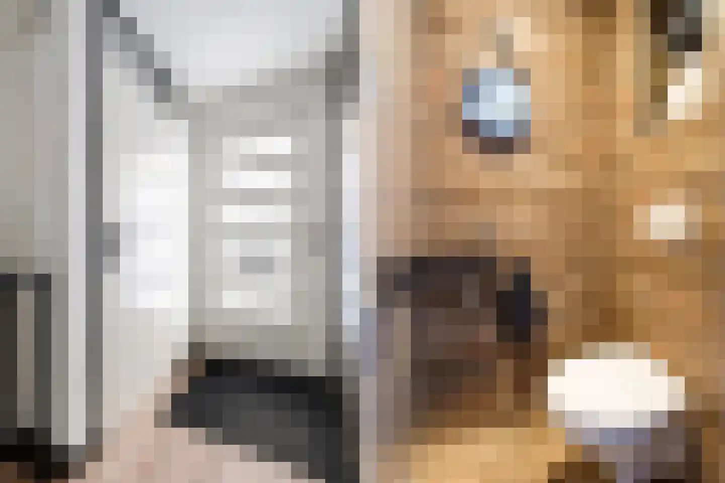 Aloëbruin 17 Zoetermeer thumbnail 26