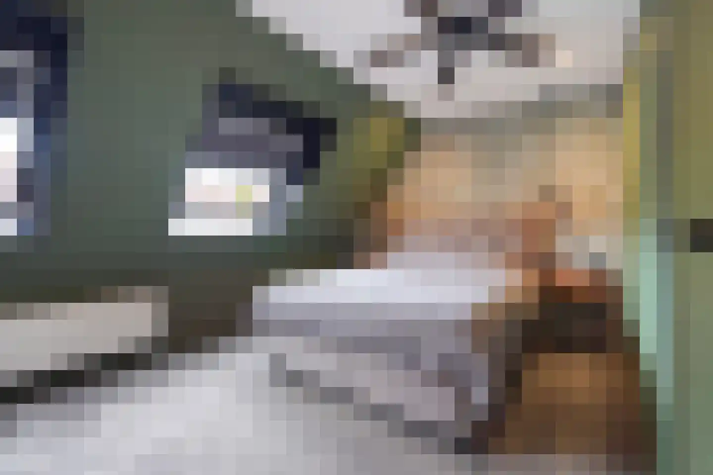 Aloëbruin 17 Zoetermeer thumbnail 29
