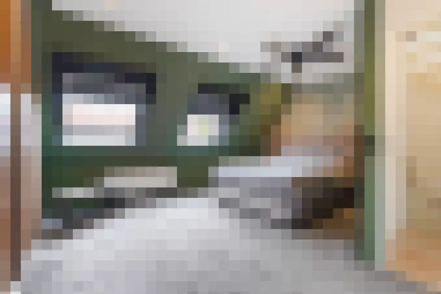Aloëbruin 17 Zoetermeer thumbnail 30