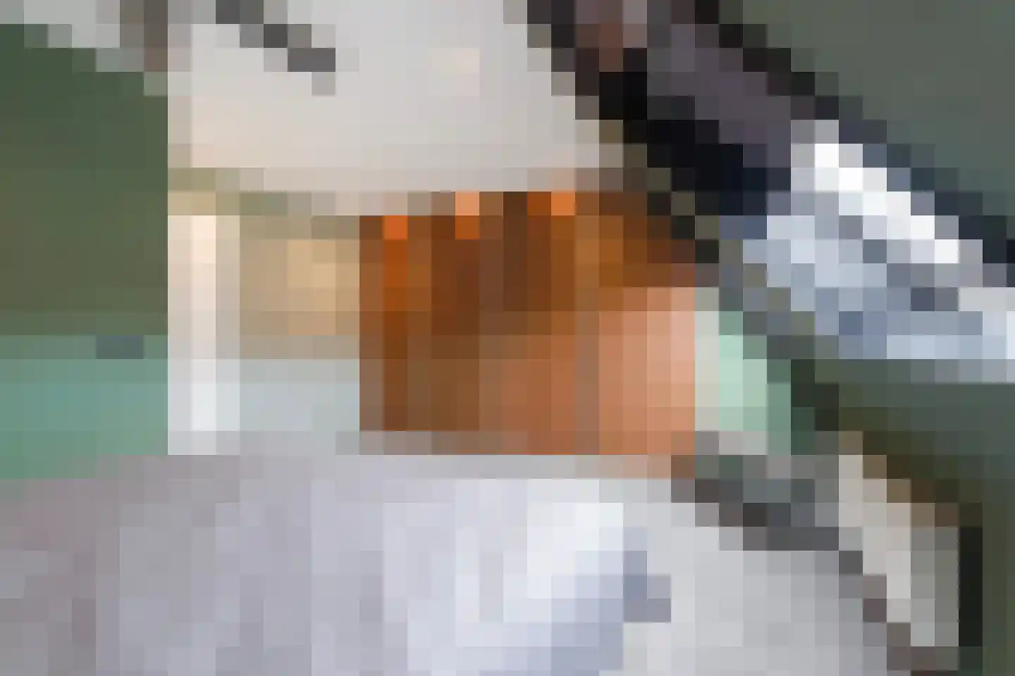 Aloëbruin 17 Zoetermeer thumbnail 31