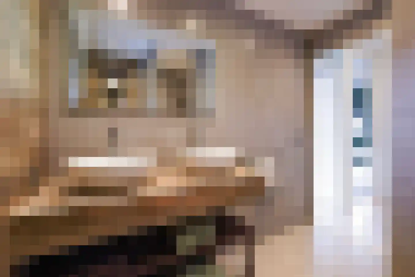 Aloëbruin 17 Zoetermeer thumbnail 34