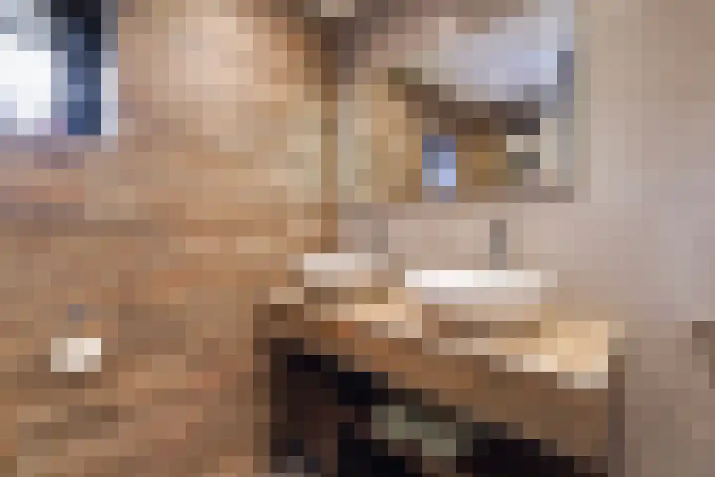Aloëbruin 17 Zoetermeer thumbnail 35