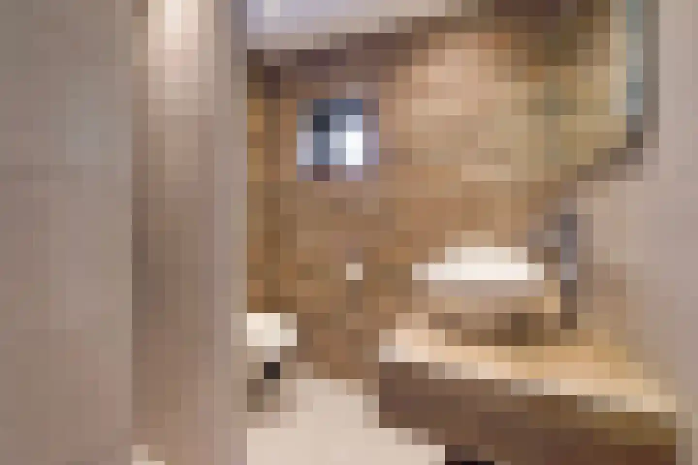 Aloëbruin 17 Zoetermeer thumbnail 36