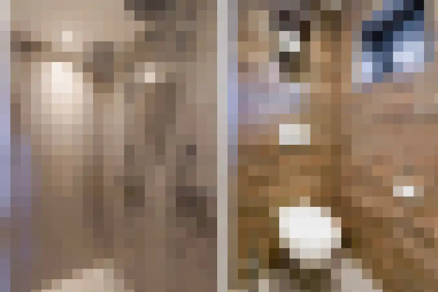 Aloëbruin 17 Zoetermeer thumbnail 37