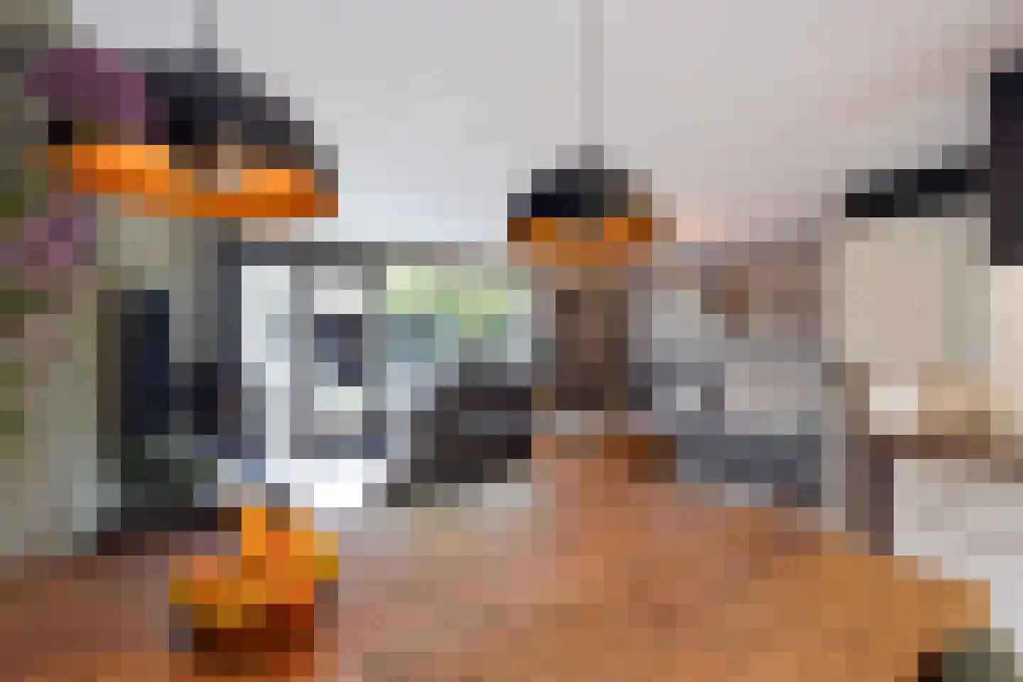 Aloëbruin 17 Zoetermeer thumbnail 4