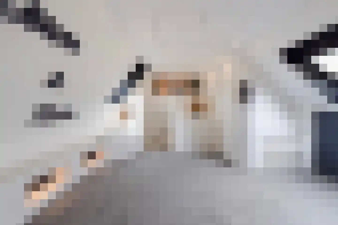 Aloëbruin 17 Zoetermeer thumbnail 40