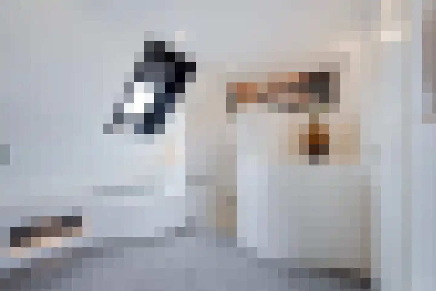 Aloëbruin 17 Zoetermeer thumbnail 41