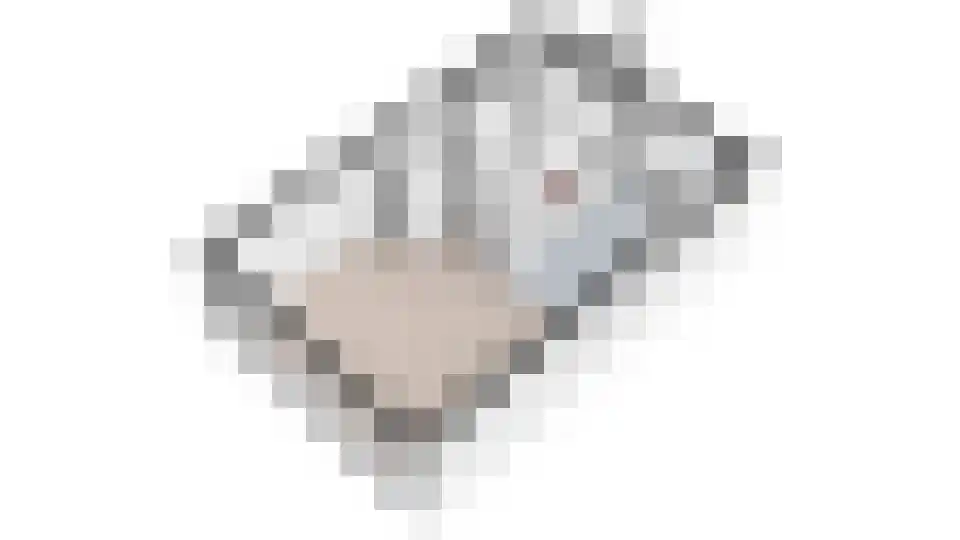 Aloëbruin 17 Zoetermeer thumbnail 47