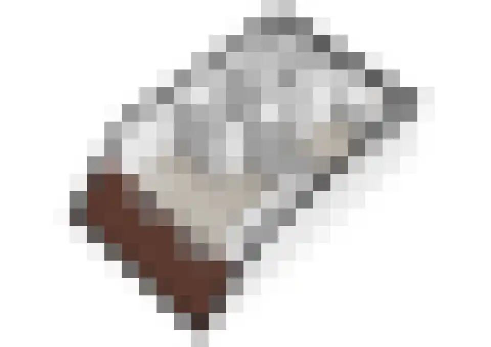 Aloëbruin 17 Zoetermeer thumbnail 49