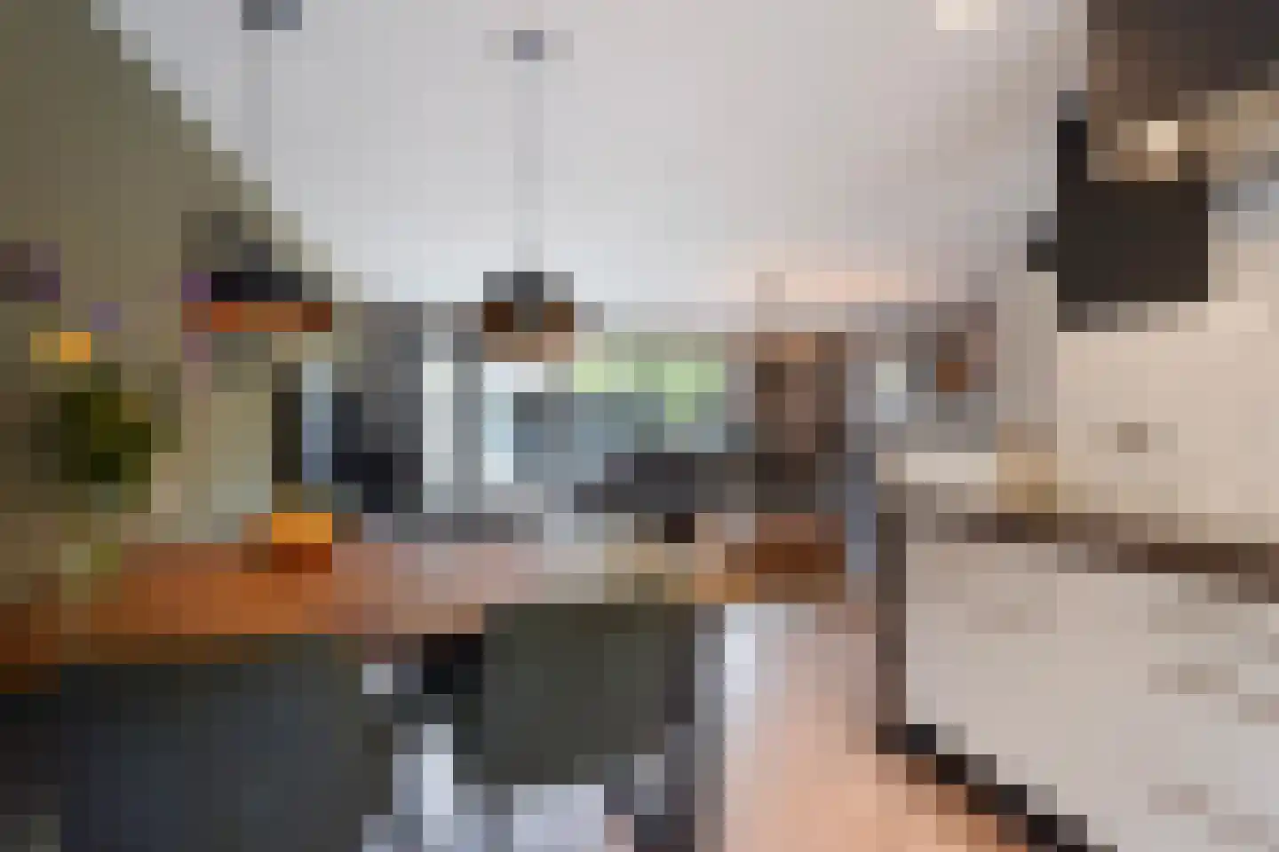 Aloëbruin 17 Zoetermeer thumbnail 5