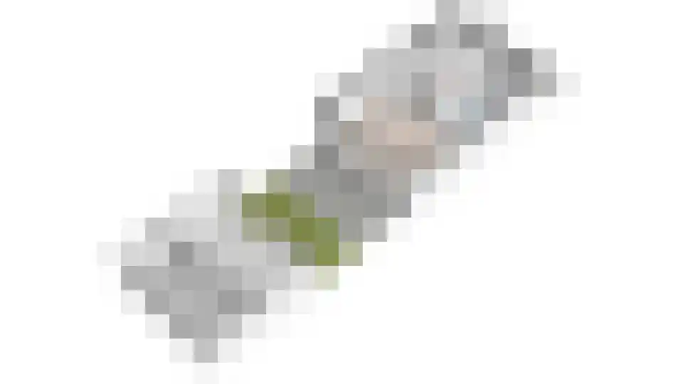 Aloëbruin 17 Zoetermeer thumbnail 53