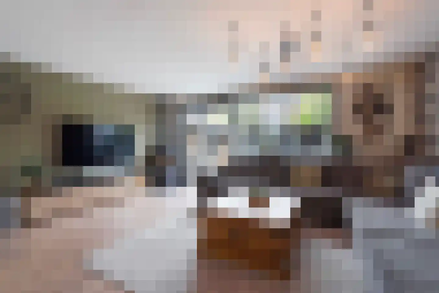 Aloëbruin 17 Zoetermeer thumbnail 6