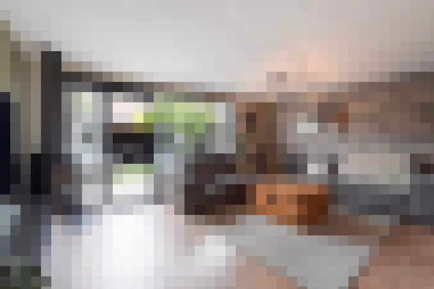 Aloëbruin 17 Zoetermeer thumbnail 7