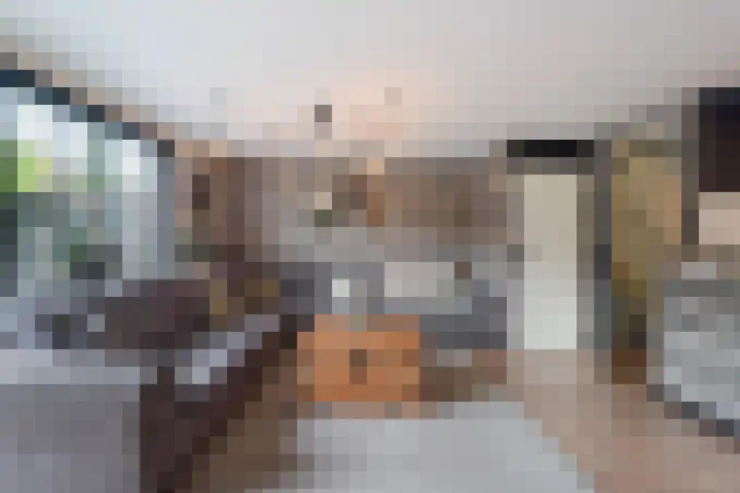 Aloëbruin 17 Zoetermeer thumbnail 9