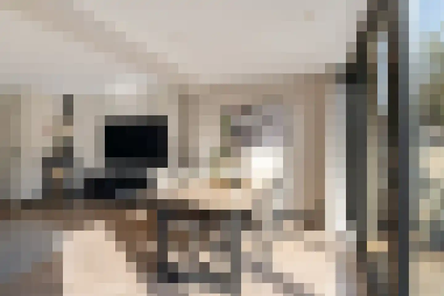 Aloëbruin 38 Zoetermeer thumbnail 17