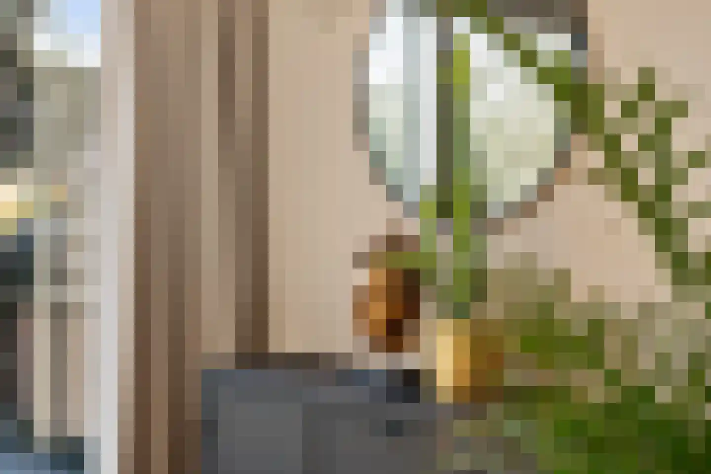 Aloëbruin 38 Zoetermeer thumbnail 18