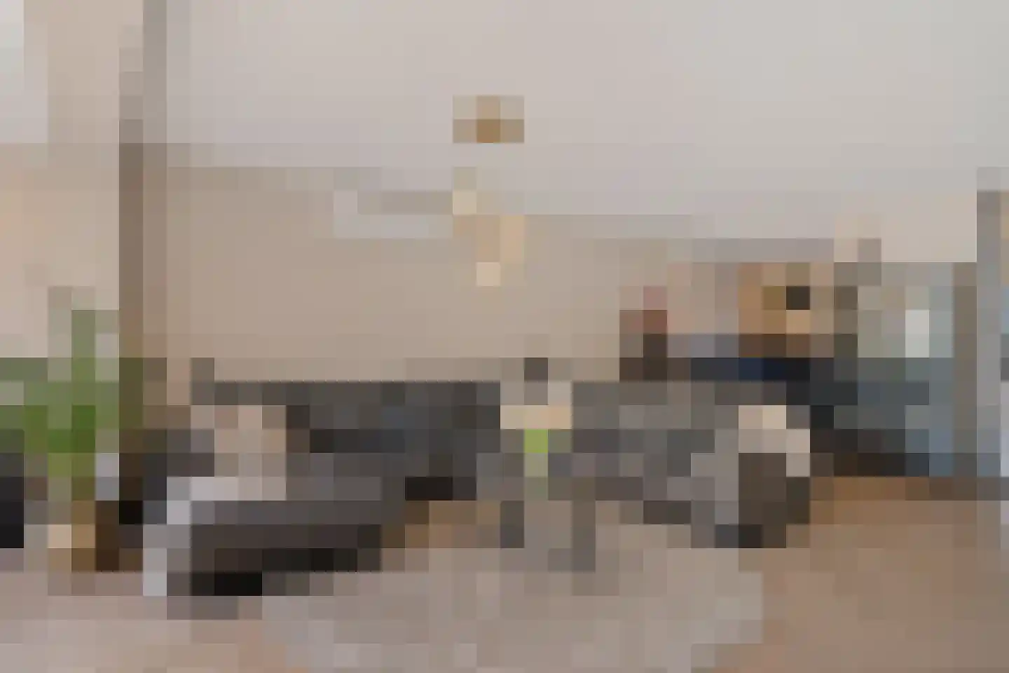 Aloëbruin 38 Zoetermeer thumbnail 19