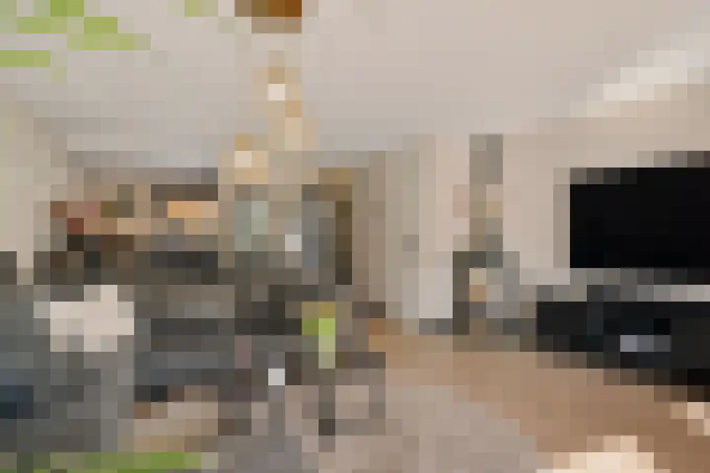 Aloëbruin 38 Zoetermeer thumbnail 21