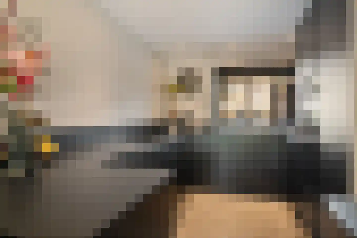 Aloëbruin 38 Zoetermeer thumbnail 24