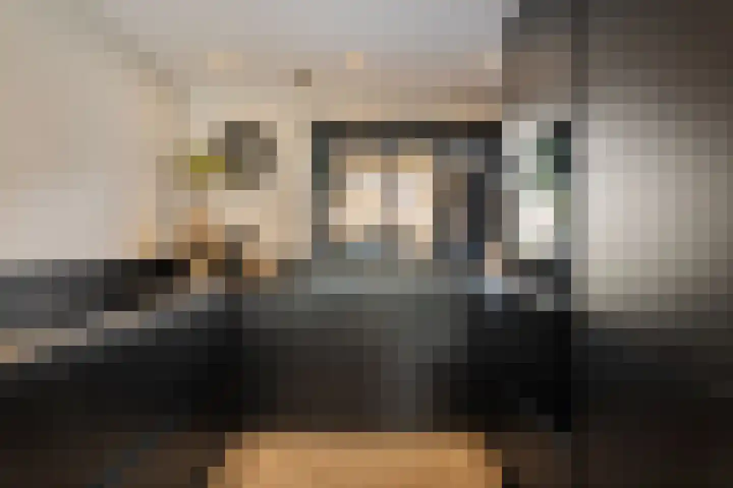 Aloëbruin 38 Zoetermeer thumbnail 26