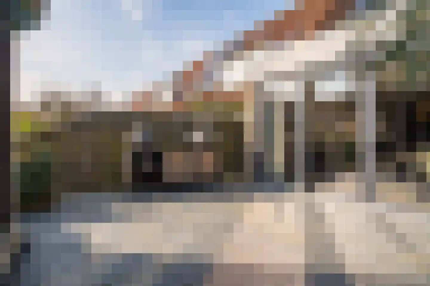 Aloëbruin 38 Zoetermeer thumbnail 30