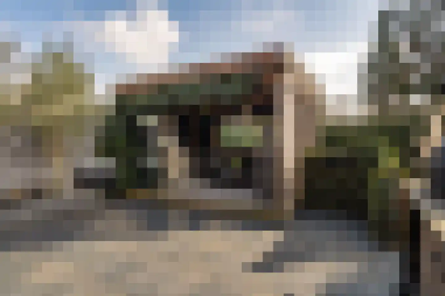 Aloëbruin 38 Zoetermeer thumbnail 31