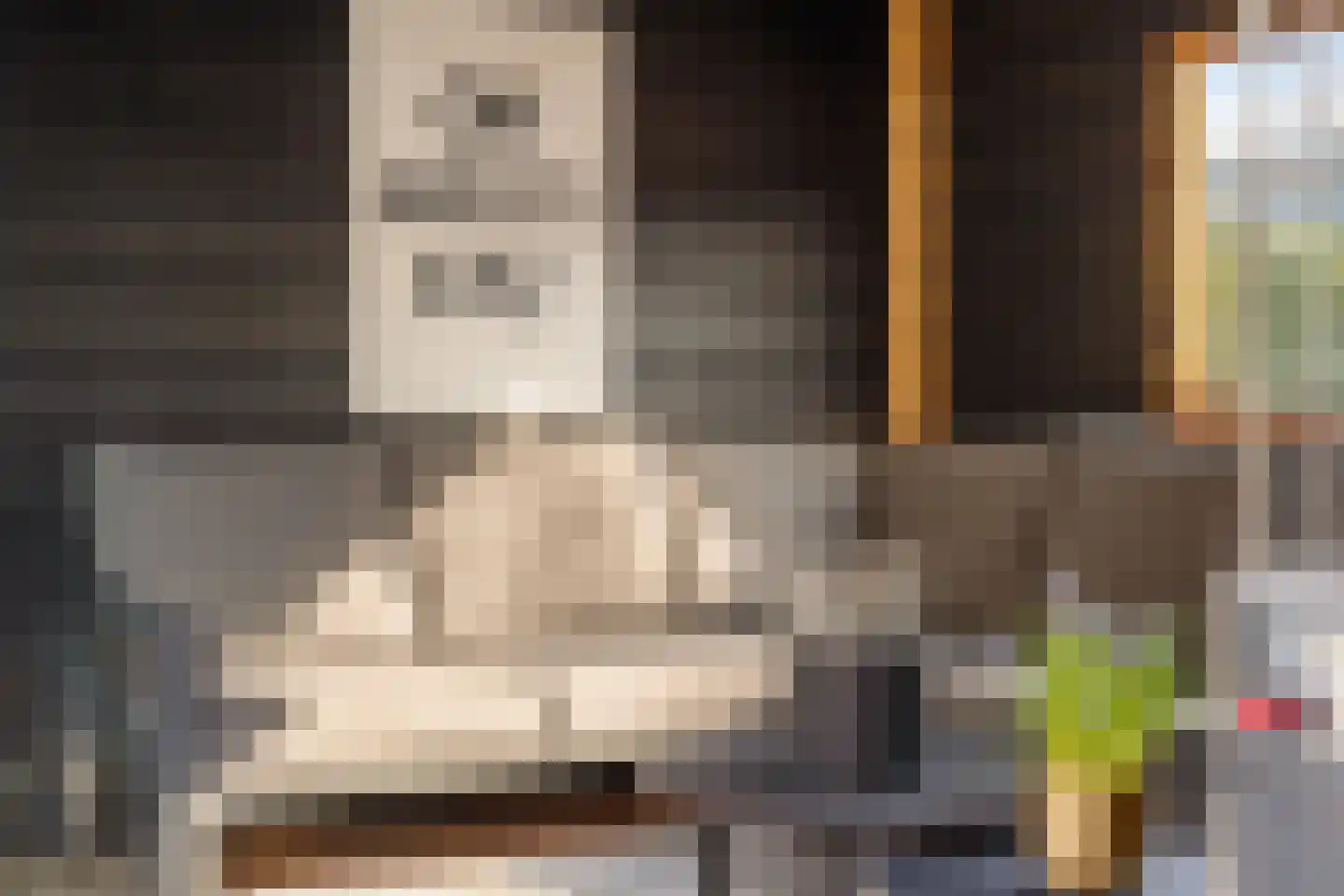 Aloëbruin 38 Zoetermeer thumbnail 32