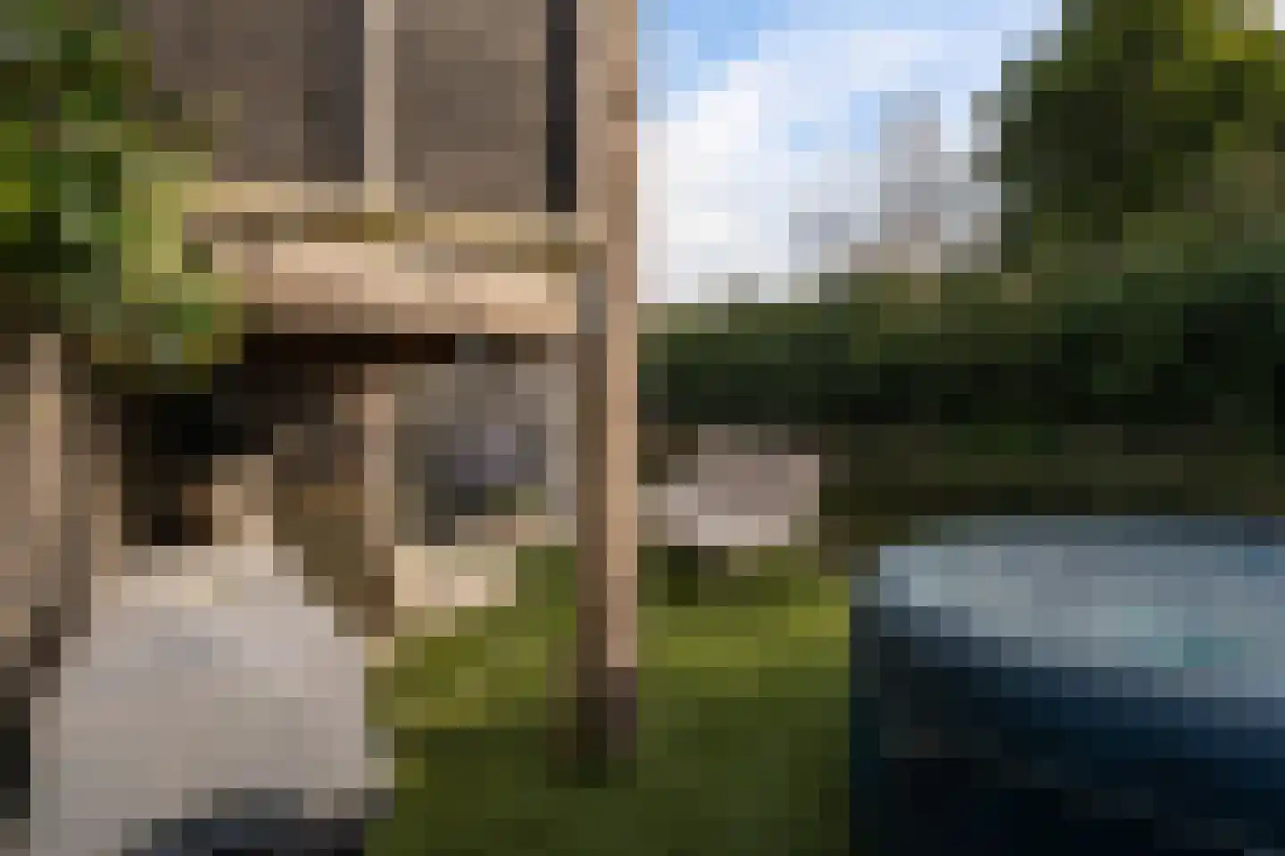 Aloëbruin 38 Zoetermeer thumbnail 33