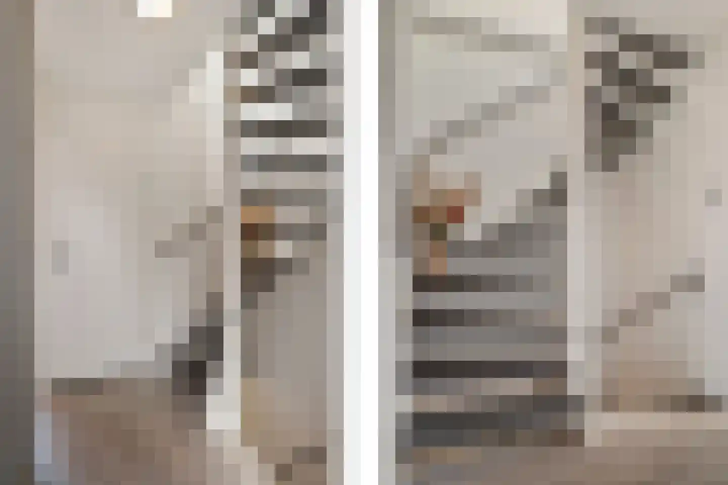 Aloëbruin 38 Zoetermeer thumbnail 36