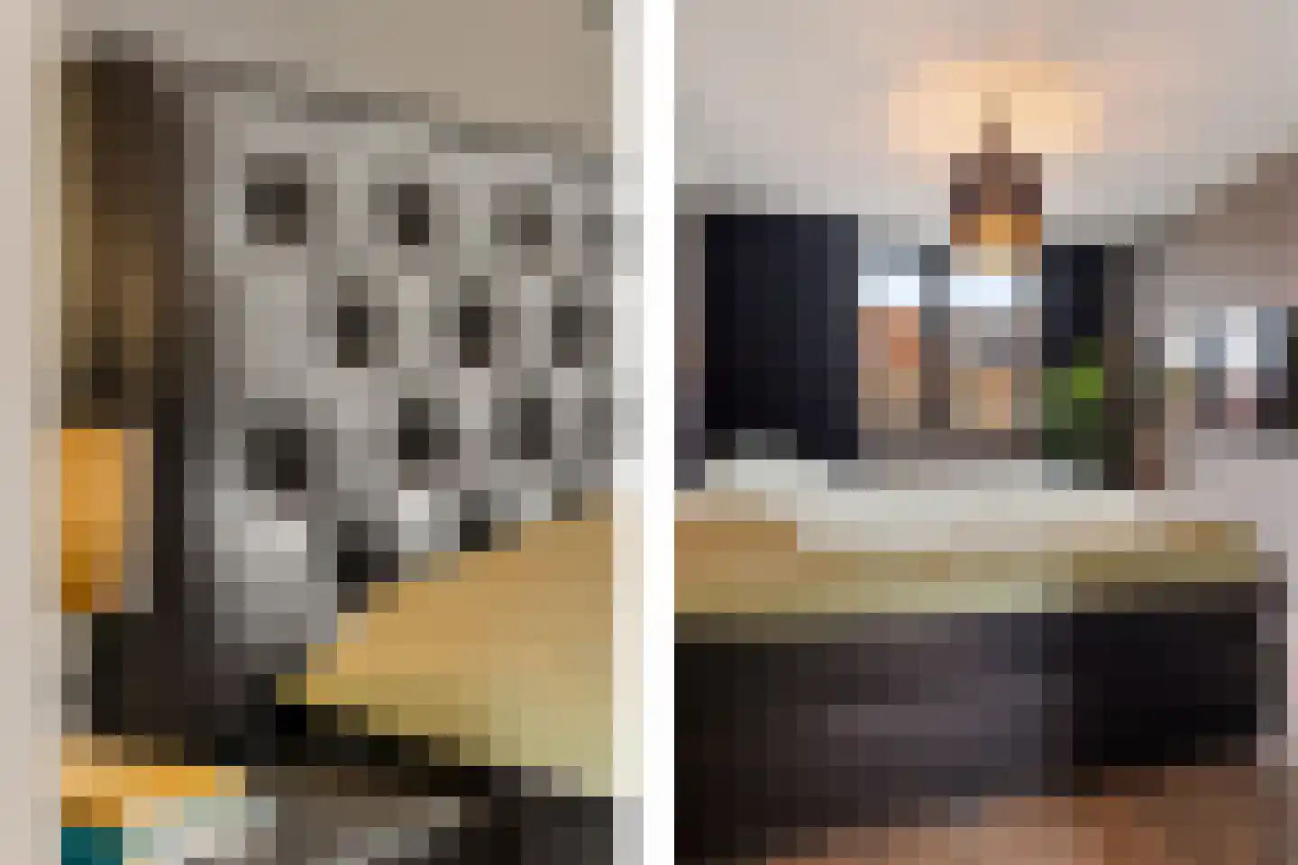 Aloëbruin 38 Zoetermeer thumbnail 38