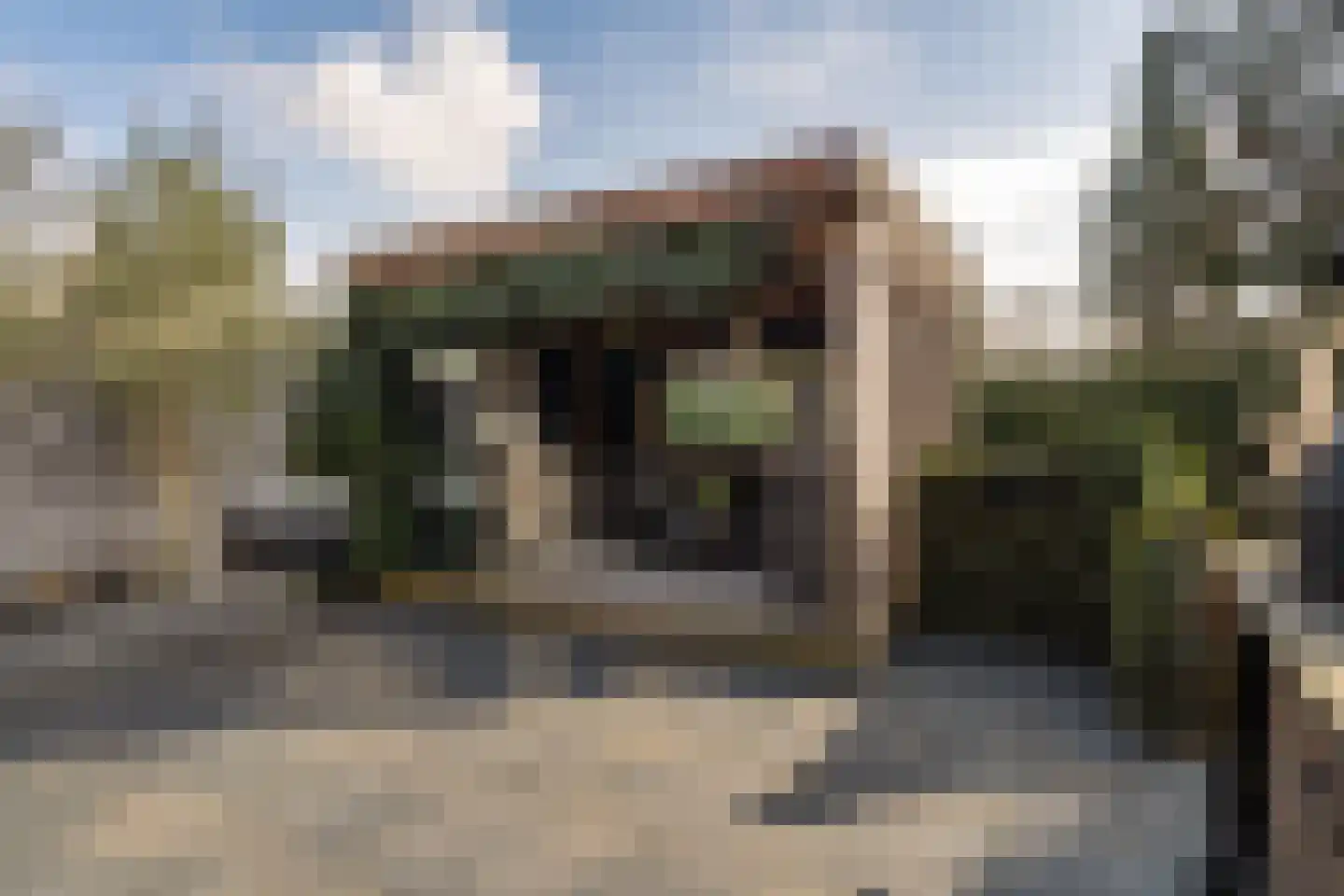 Aloëbruin 38 Zoetermeer thumbnail 4