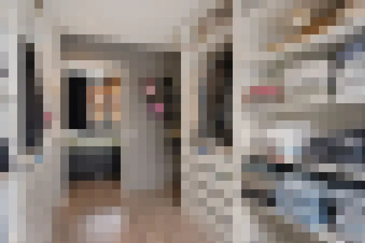Aloëbruin 38 Zoetermeer thumbnail 40