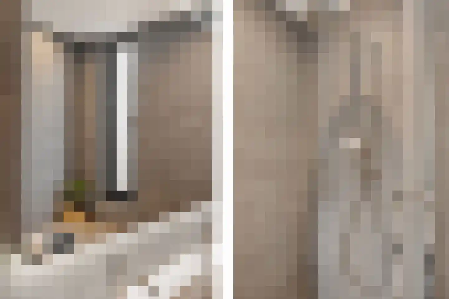Aloëbruin 38 Zoetermeer thumbnail 44