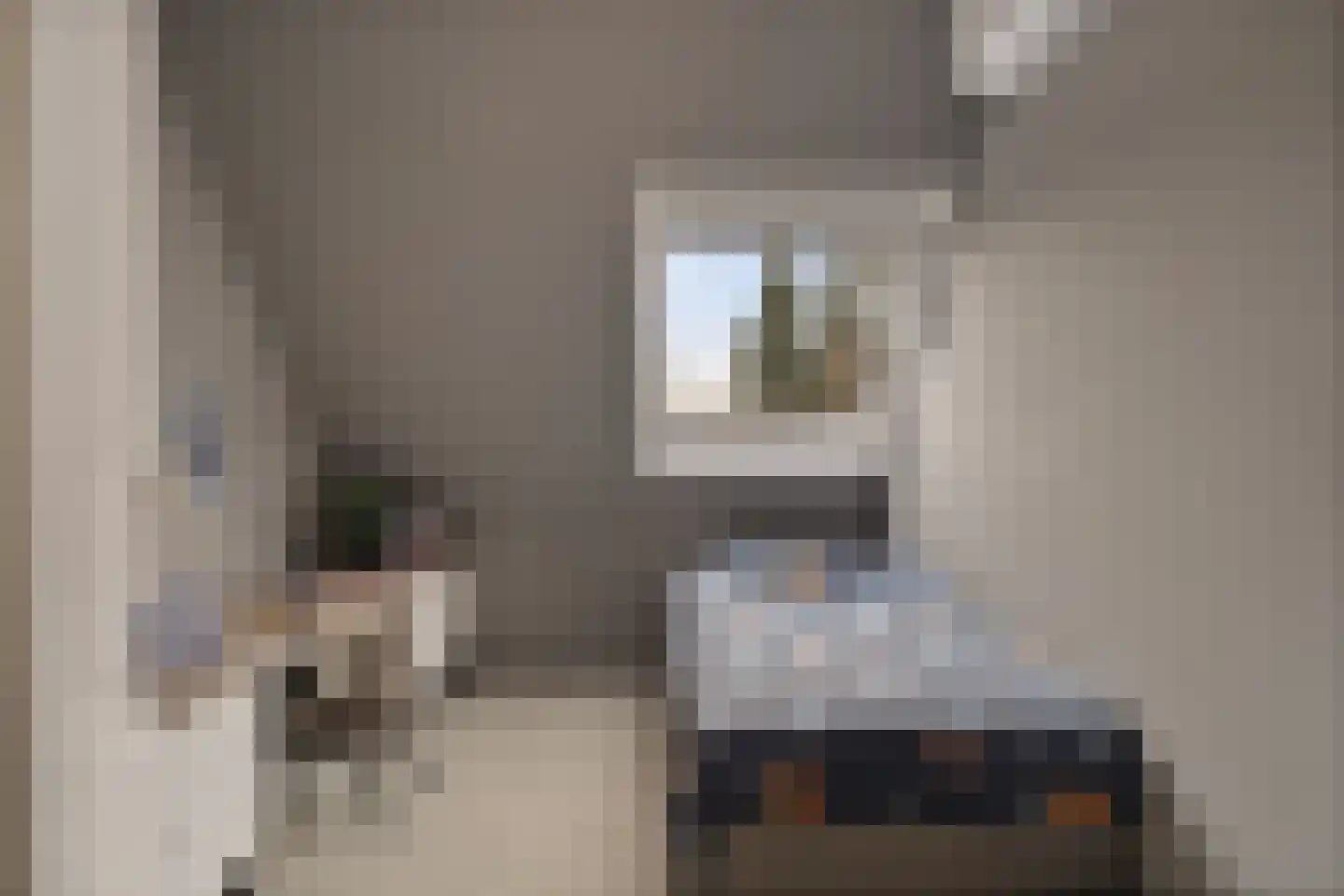 Aloëbruin 38 Zoetermeer thumbnail 45