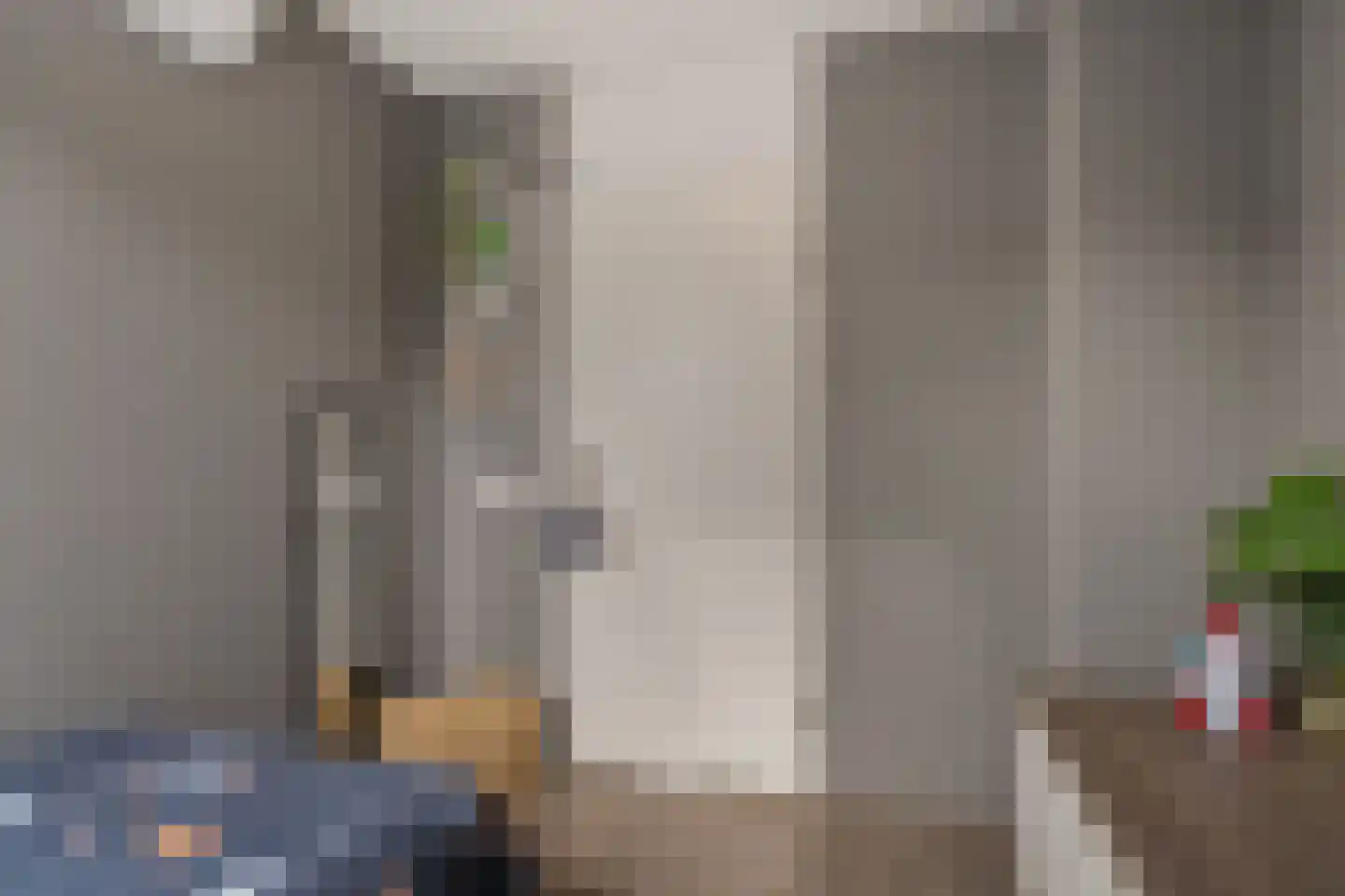 Aloëbruin 38 Zoetermeer thumbnail 46