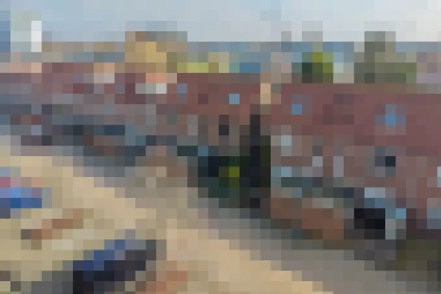 Aloëbruin 38 Zoetermeer thumbnail 5