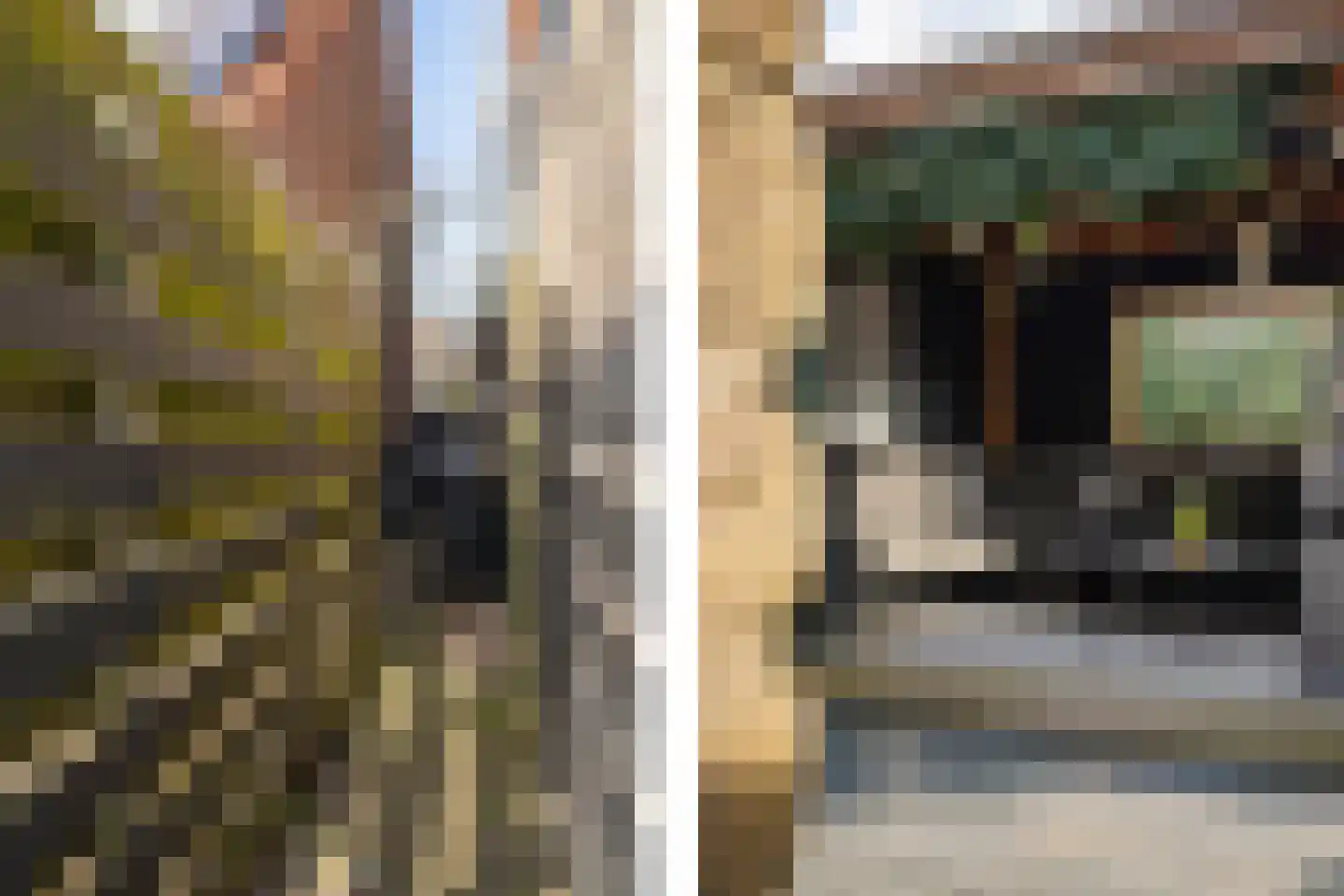 Aloëbruin 38 Zoetermeer thumbnail 53