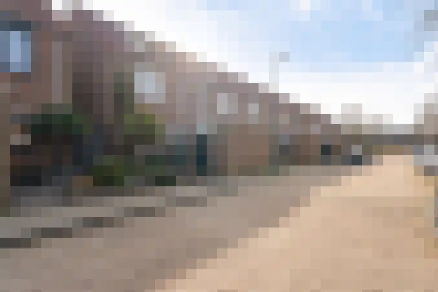 Aloëbruin 38 Zoetermeer thumbnail 6
