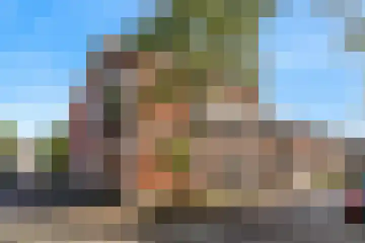 Aloëlaan 20 A Leiden thumbnail 15