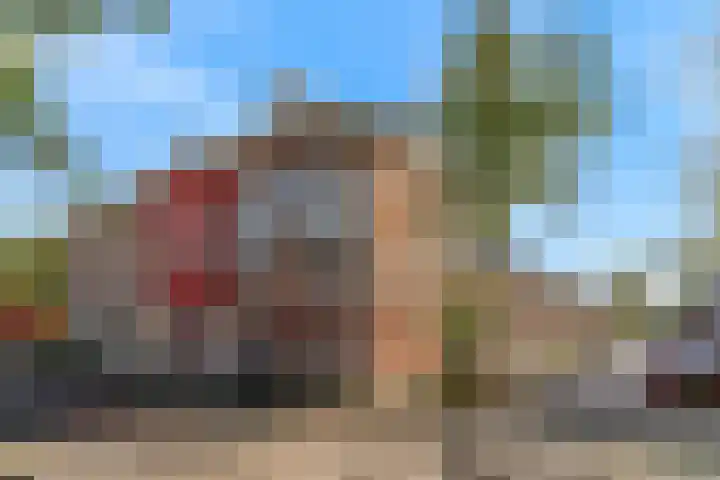 Aloëlaan 20 A Leiden thumbnail 16