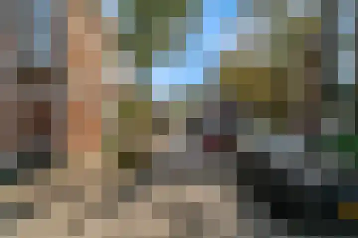 Aloëlaan 20 A Leiden thumbnail 17