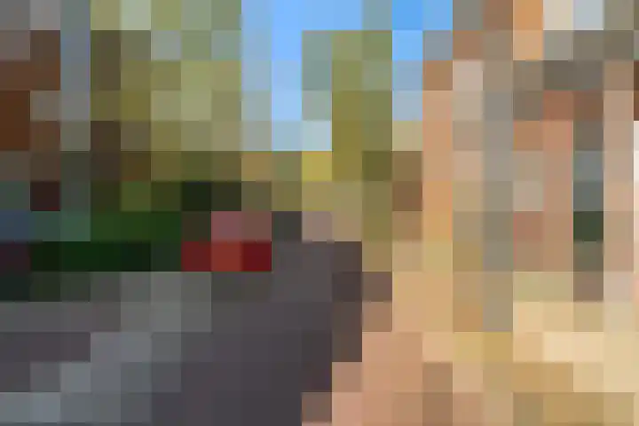 Aloëlaan 20 A Leiden thumbnail 18