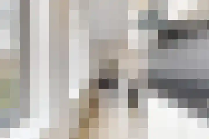 Aloëlaan 20 A Leiden thumbnail 7