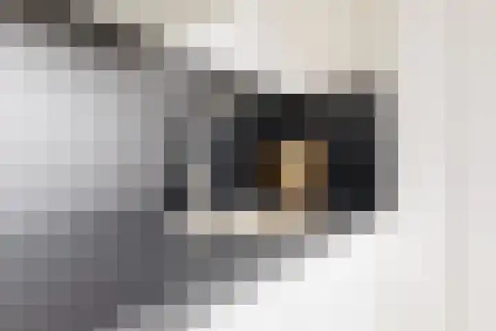 Aloëlaan 20 A Leiden thumbnail 9