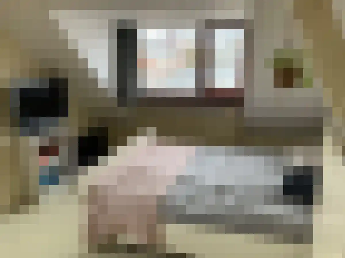 Aloëlaan 42 Leiden thumbnail 4