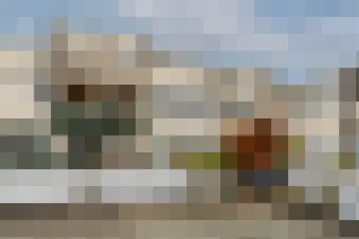 Alouette erf 13 Capelle aan den IJssel thumbnail 6