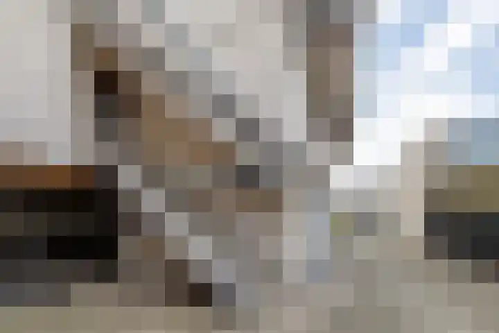 Alouette erf 13 Capelle aan den IJssel thumbnail 8