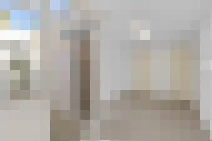 Aloysiushof 1 Zegge thumbnail 15