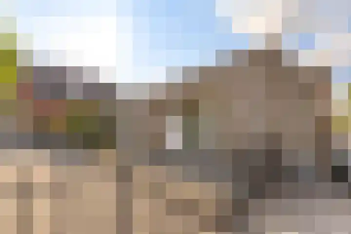 Aloysiushof 1 Zegge thumbnail 27